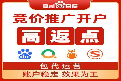 谷歌竞价广告在电商行业的运用案例